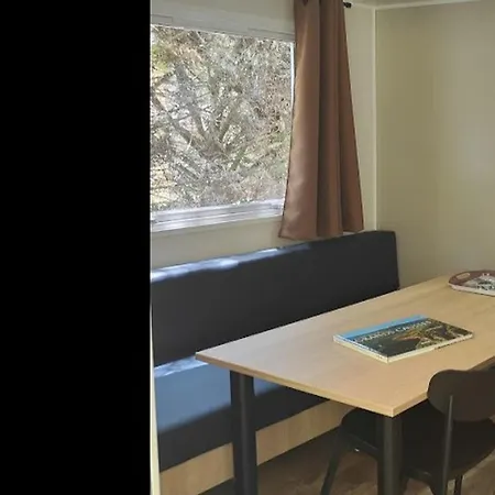 Mobil-home Charmant, Animaux Ok - 2 Pers. - Api-1-52-2630 Saint-Rome-de-Tarn